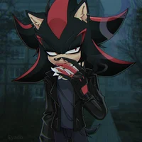 Shadow The Hedgehog