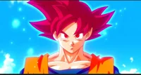 Son Goku SSG