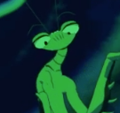 Mantis