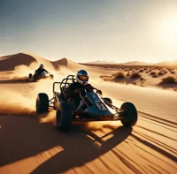 Go Kart Racers