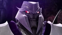 Megatron -TFP