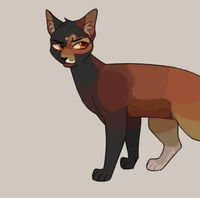 Warrior cats OC