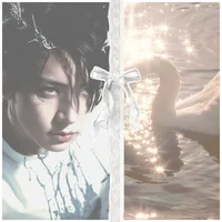 Info about dreamzers