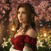 Aerith Romance  