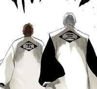 Aizen and Gin