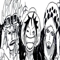 1OP Luffy Law n Kidd