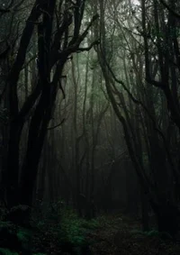 Slenderman Forest 