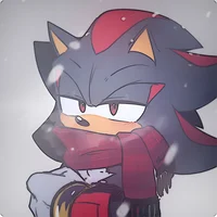 Shadow The Hedgehog