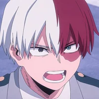 Shoto Todoroki