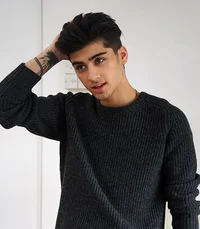 Zayn Malik 2013