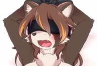 Tied Raccoon