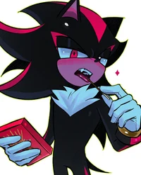 SHADOW T HEDGEHOG 