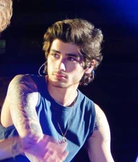 Zayn Malik - 2014