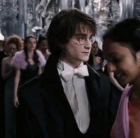 HARRY P