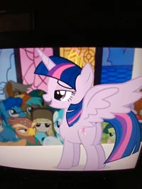 Princess twilight 