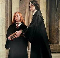 Snape 