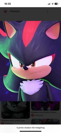 Shadow The Hedgehog 