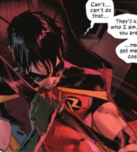 Tim Drake