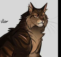 Tigerstar