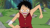 Monkey D Luffy 