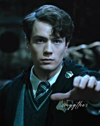 The Slytherin Boys