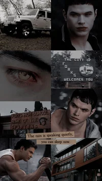 Emmett Cullen 
