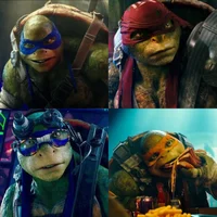 TMNT Bayverse