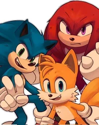 TEAM SONIC