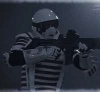 COMMONWEALTH SOLDIER