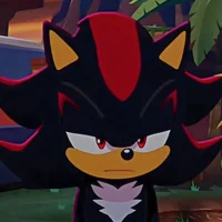 SHADOW T HEDGEHOG 