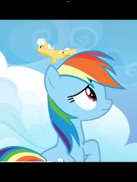 Rainbow Dash 