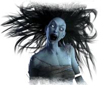 The Spirit