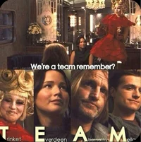 Hunger Games TEAM