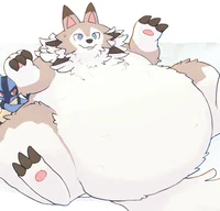 Chubby lycanroc 