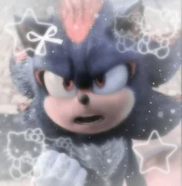 SHADOW T HEDGEHOG 