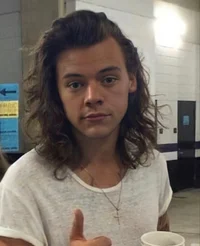 harry styles - 2015
