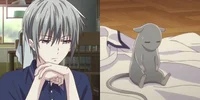 Yuki Sohma