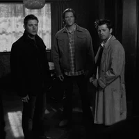 Team Free Will