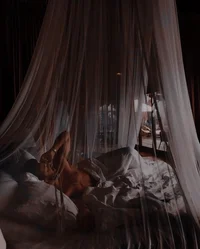 Nikolai Kuninskavich