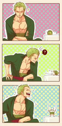 OP-Roronoa Zoro