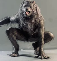 Werewolf TF
