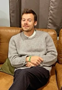 harry styles - 2024