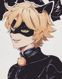 Chat Noir