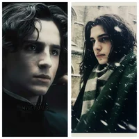Severus and Regulus 