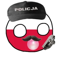 Polish Airport Guard