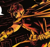 Tim Drake