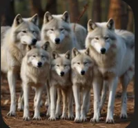 Wolf Pack