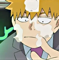 MP100 Reigen