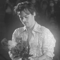 harry styles - mafia