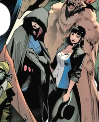 DC Zatanna and Raven